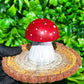 3D Chocolate Mushrooms